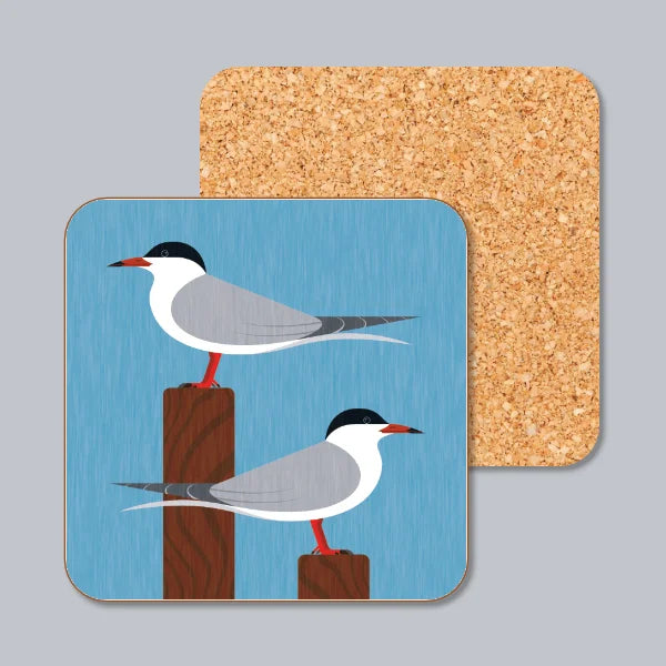 Common Terns On Lookout Coaster