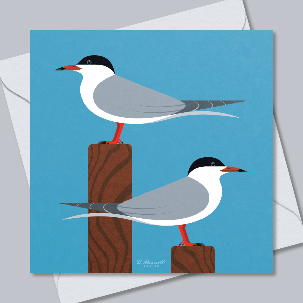 Common Terns On Lookout Greetings Card