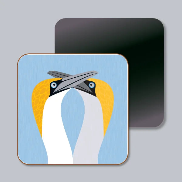 Gannets Courting Magnet
