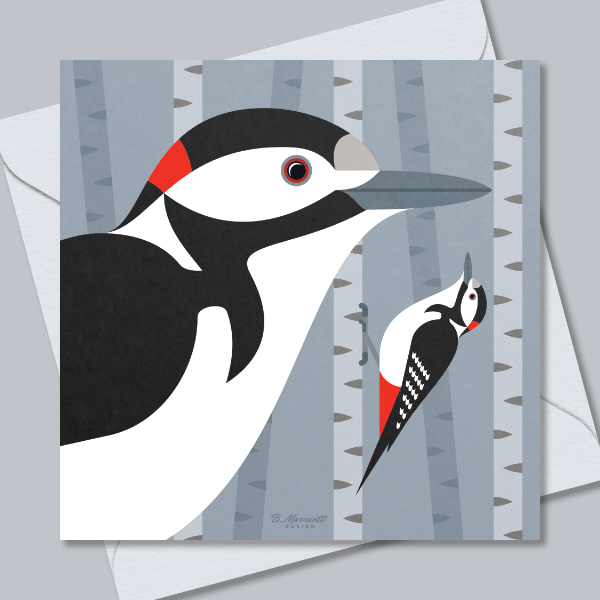 Great Spotted Woodpeckers Greetings Card
