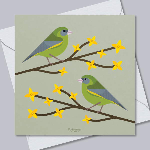 Greenfinches On Forsythia Greetings Card
