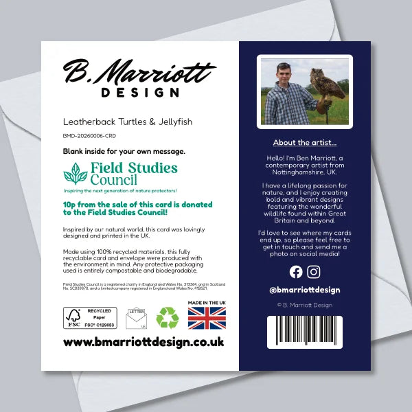 Leatherback Turtles & Jellyfish Greetings Card