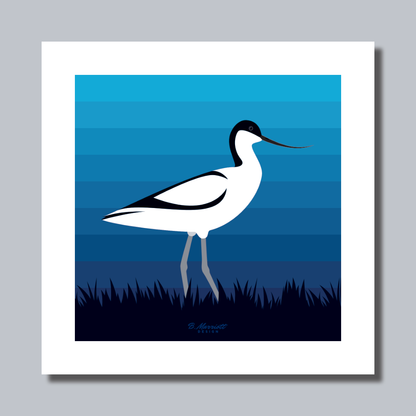 Avocet On The Marsh Art Print