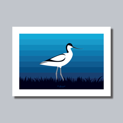 Avocet On The Marsh Art Print