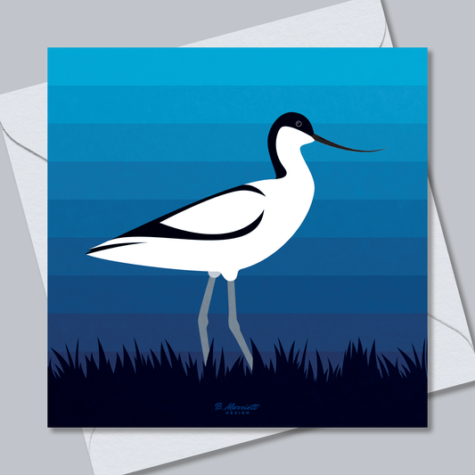 Avocet On The Marsh | British Birds & Wildlife Greetings Card from B. Marriott Design | 100% recycled, 100% recyclable & supporting charity with every purchase.