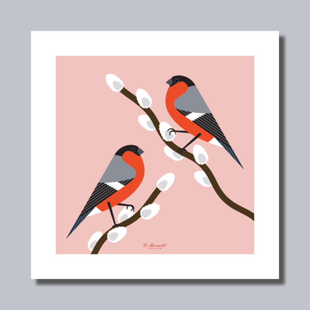 Bullfinches On Pussy Willow Art Print