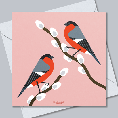 Bullfinches On Pussy Willow Greetings Card