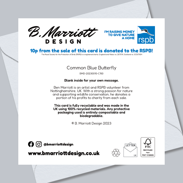 Common Blue Butterfly Greetings Card