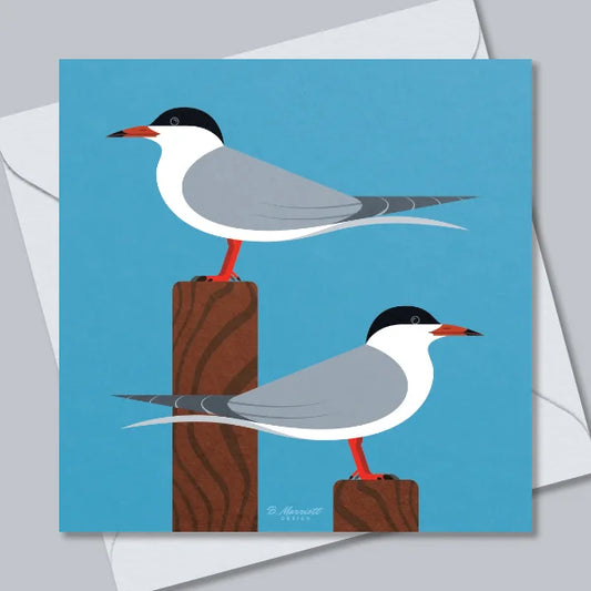 Common Terns On Lookout Greetings Card