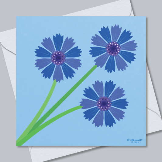 Cornflowers Greetings Card