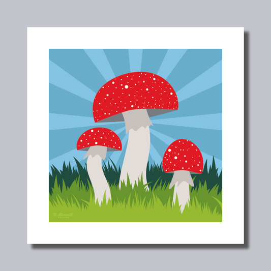 Fly Agaric Group Art Print