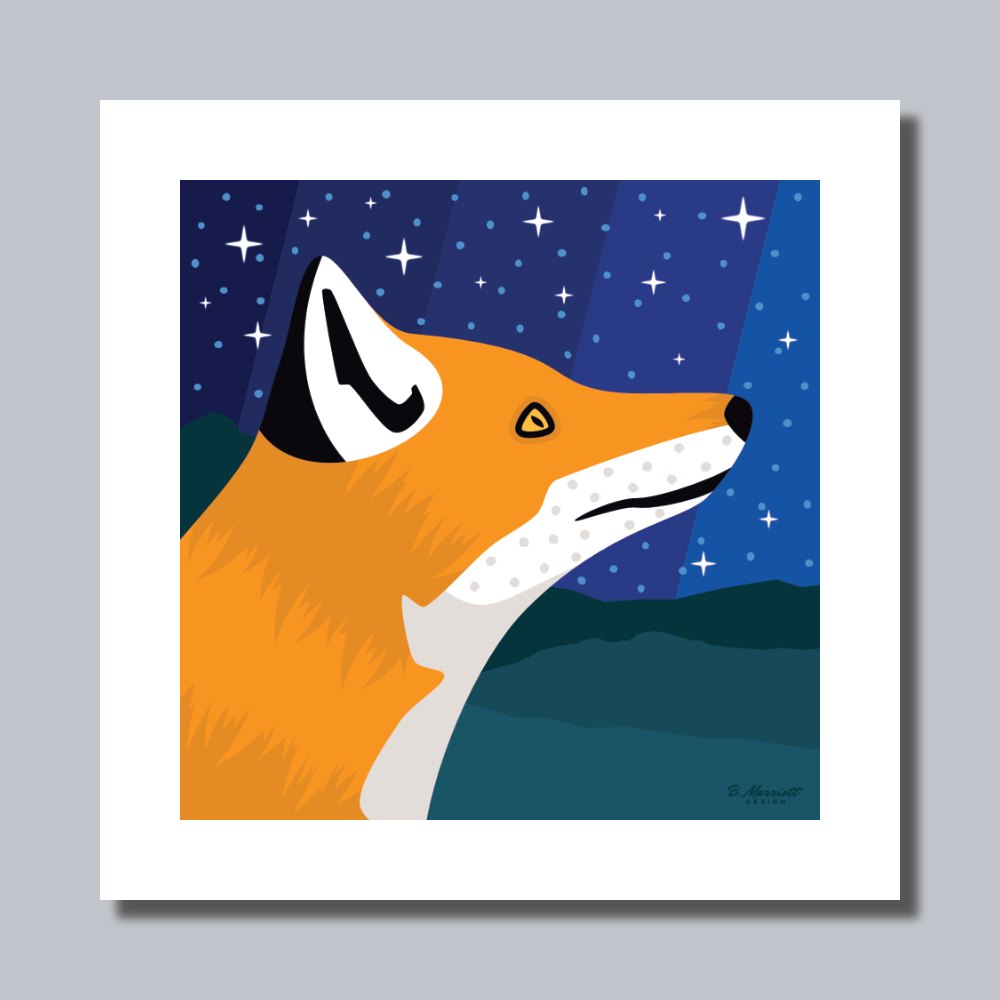 Fox At Night Art Print