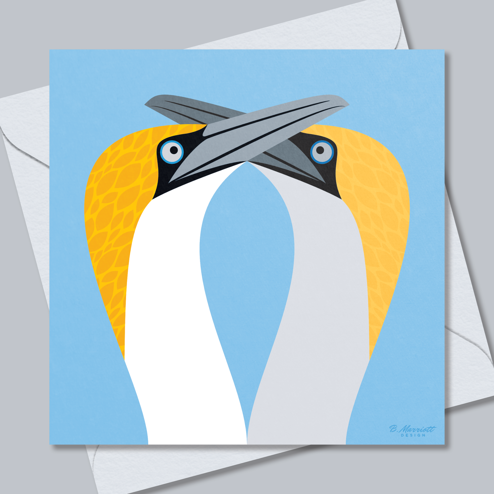 Gannets Courting | British Birds & Wildlife Greetings Card from B. Marriott Design | 100% recycled, 100% recyclable & supporting charity with every purchase.