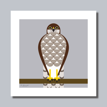 Geometric Female Sparrowhawk Art Print