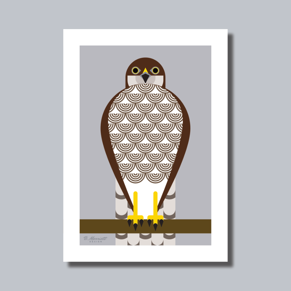 Geometric Female Sparrowhawk Art Print