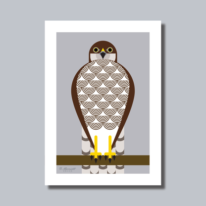 Geometric Female Sparrowhawk Art Print