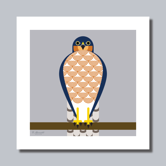 Geometric Male Sparrowhawk Art Print