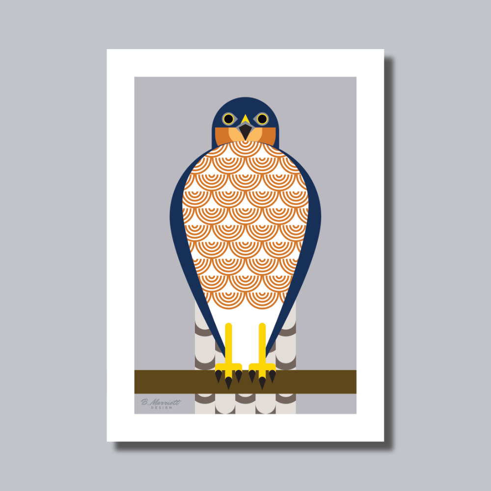 Geometric Male Sparrowhawk Art Print