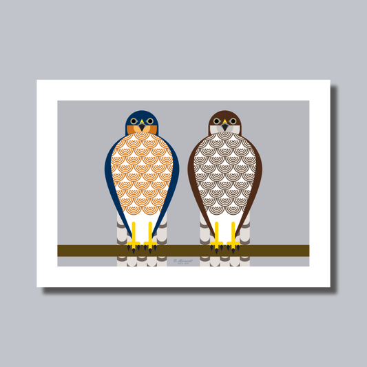 Geometric Sparrowhawk Pair Art Print