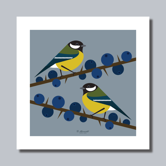 Great Tits On Blackthorn Art Print