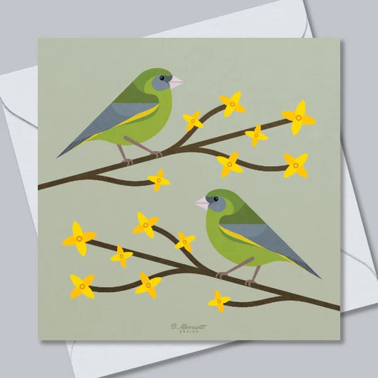Greenfinches On Forsythia Greetings Card