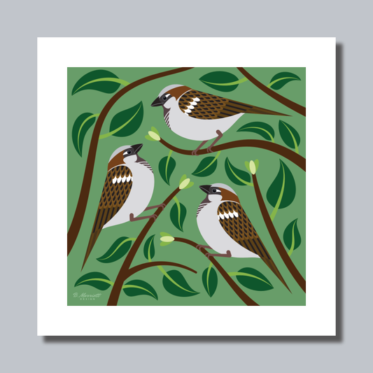 House Sparrows In A Hedge Art Print