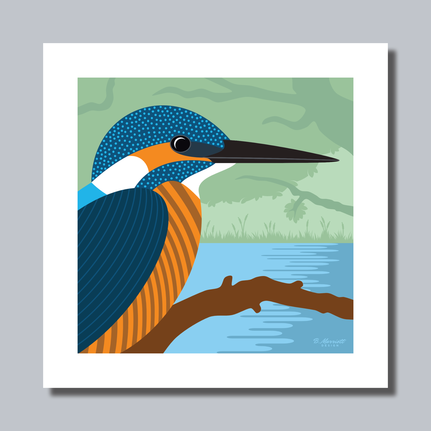 Kingfisher On A Branch Art Print