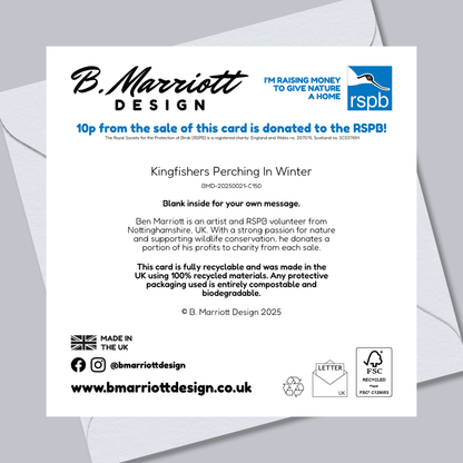 Kingfishers Perching In Winter Greetings Card