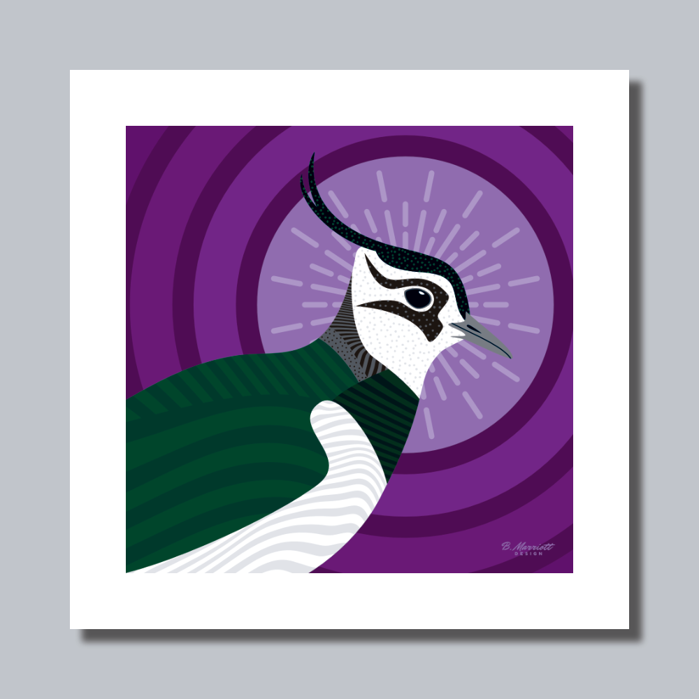 Lapwing Portrait Art Print