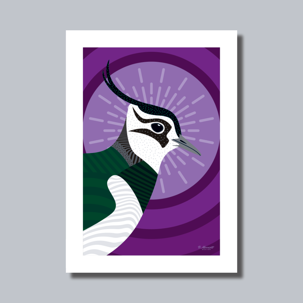 Lapwing Portrait Art Print