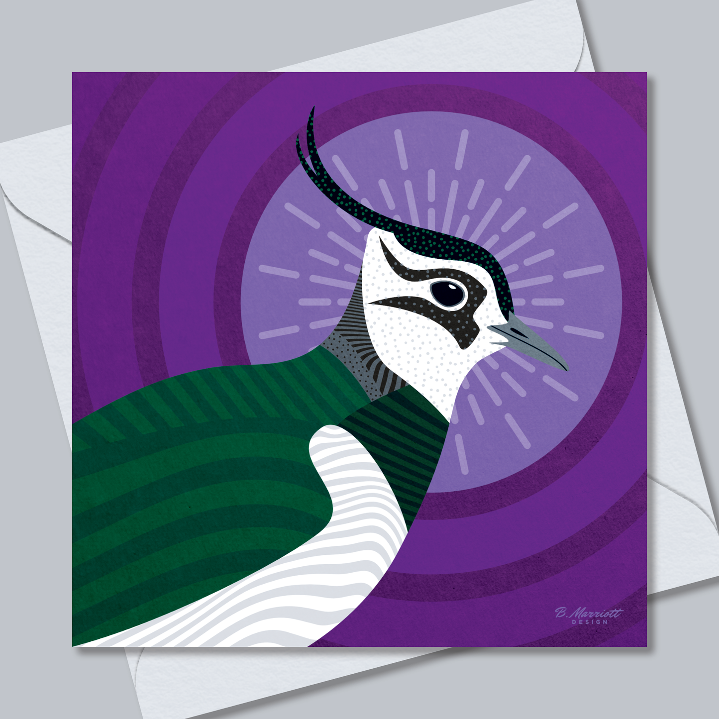 Lapwing Portrait | British Birds & Wildlife Greetings Card from B. Marriott Design | 100% recycled, 100% recyclable & supporting charity with every purchase.