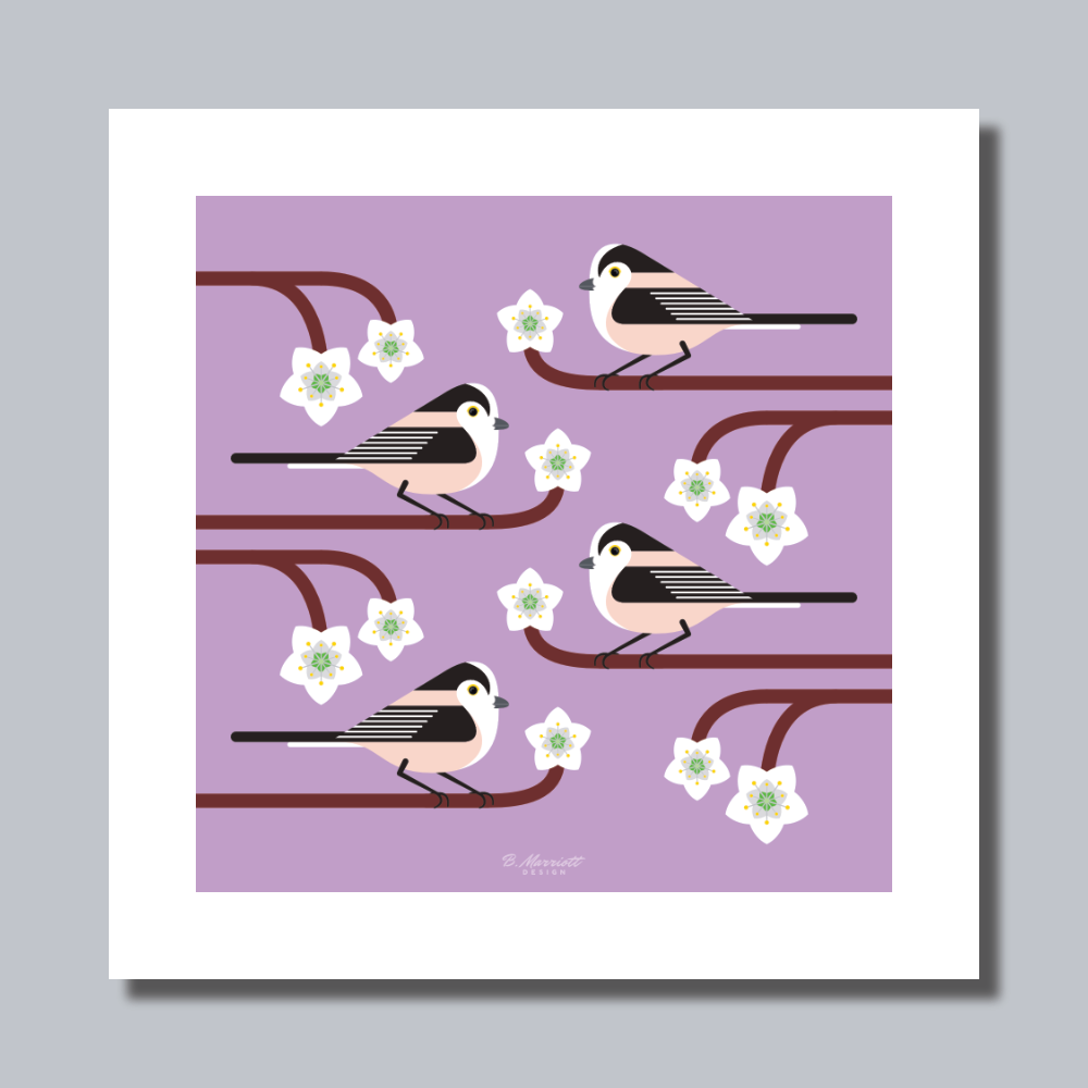 Long-Tailed Tits On Blossom Art Print