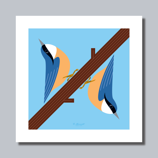 Nuthatches On A Branch Art Print