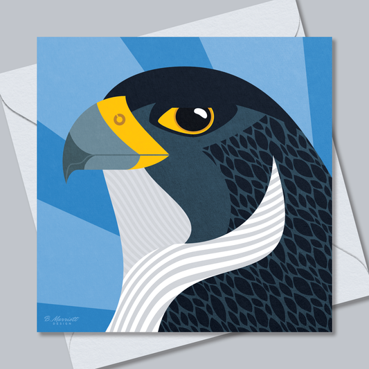 Peregrine Falcon Portrait | British Birds & Wildlife Greetings Card from B. Marriott Design | 100% recycled, 100% recyclable & supporting charity with every purchase.