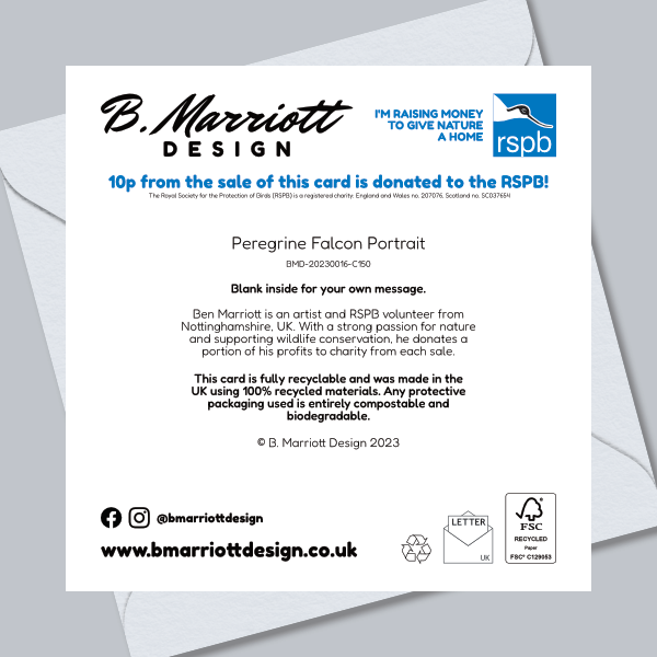 Peregrine Falcon Portrait Greetings Card
