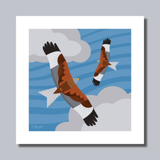 Red Kites In Flight Art Print