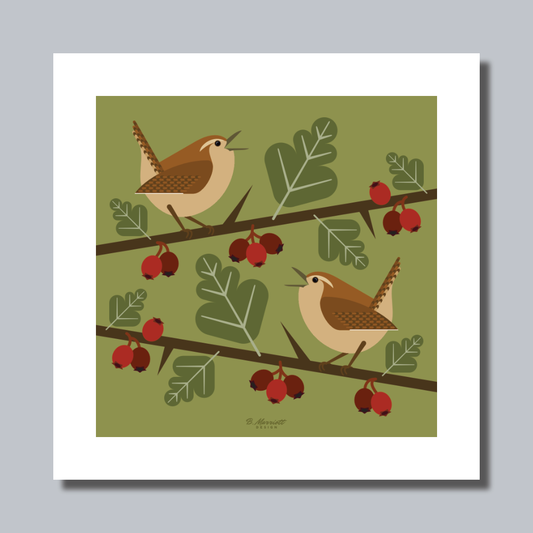 Wrens Singing On Hawthorn Art Print