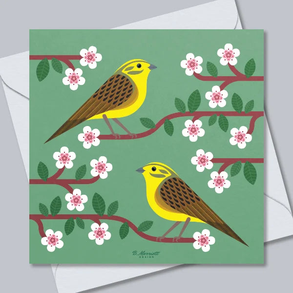 Yellowhammers On Blossom Greetings Card