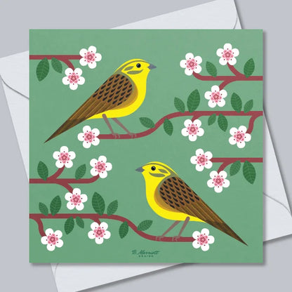 Yellowhammers On Blossom Greetings Card